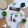 Papertoy animaux de la banquise