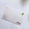 Papertoy carte postale tyrannosaure – Image 2